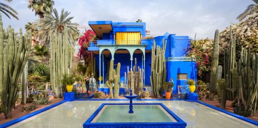 Ogród Majorelle Marrakesz