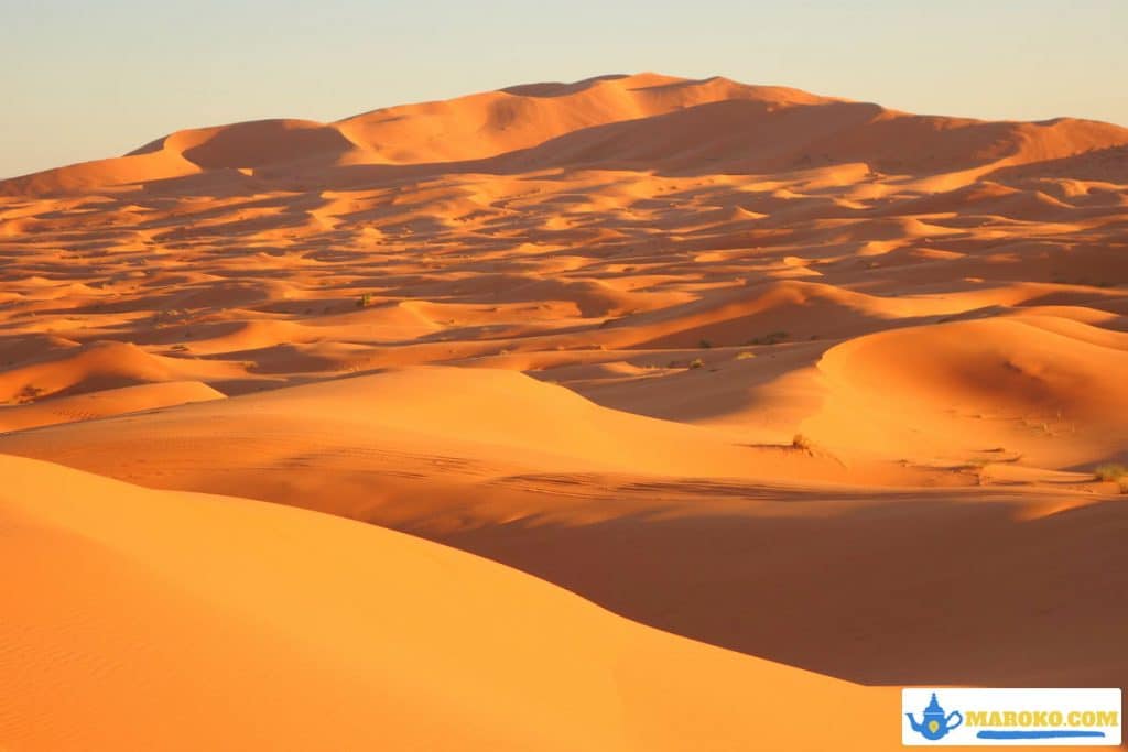 Wydmy pustyni Sahara