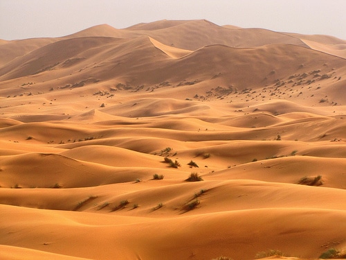 Pustynia Sahara, wydmy Erg Chebbi w Maroku