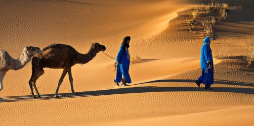 Wycieczka na pustynie w Merzouga