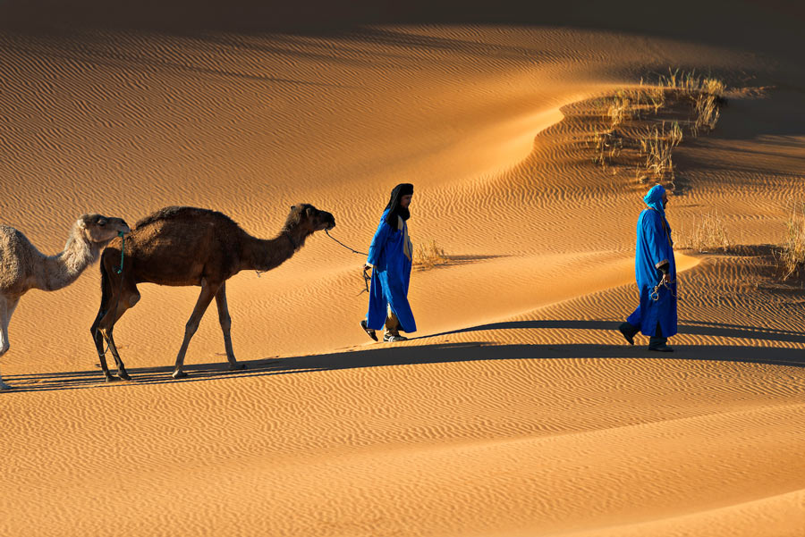 Wycieczka na pustynie w Merzouga