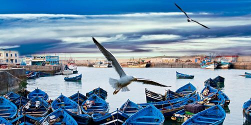 Essaouira Maroko