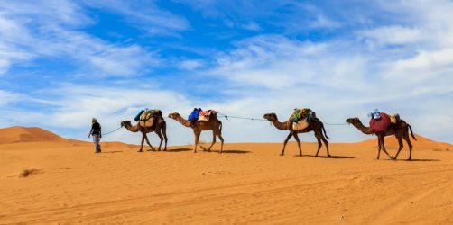 Marrakesz na wydmy Erg Chebbi